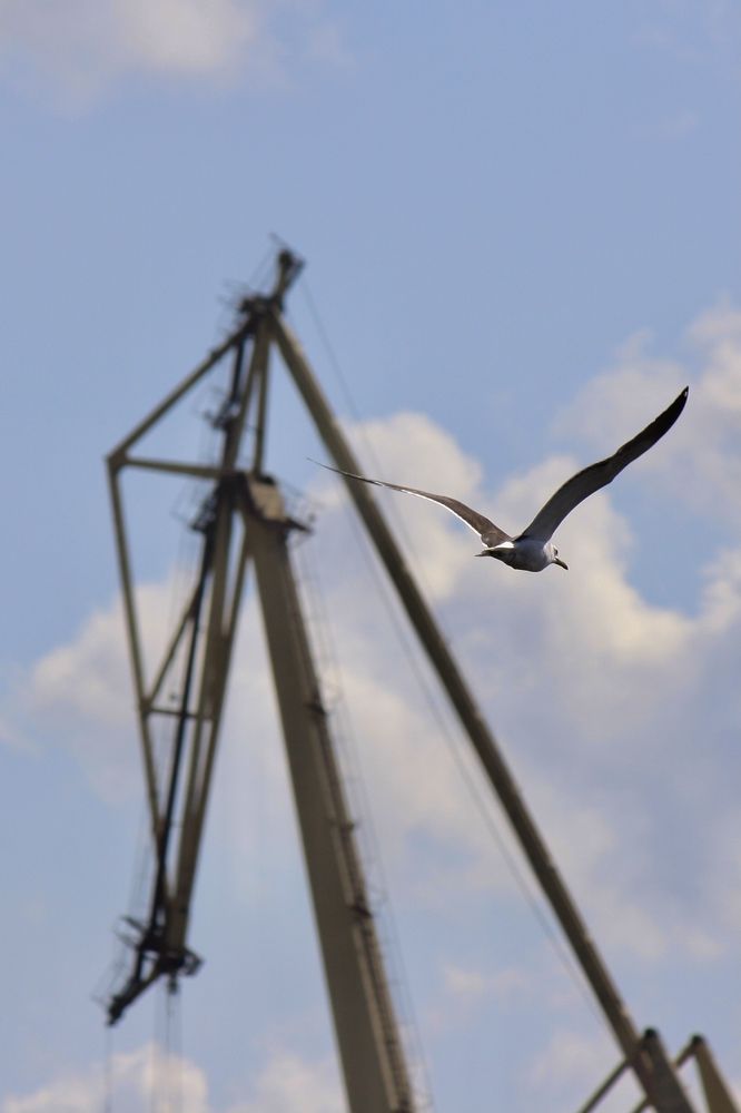 Photograph by Михаил Некрасов