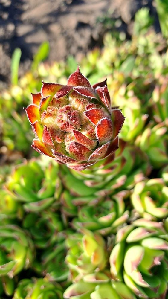 Photograph by Николай Худяков