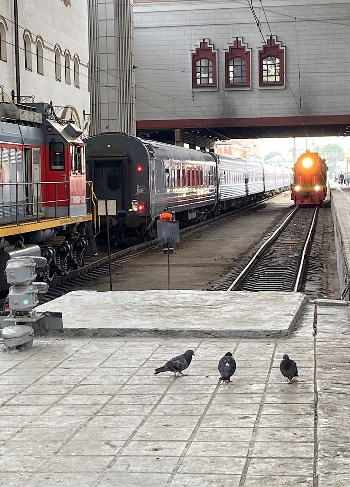 Photograph by Марина