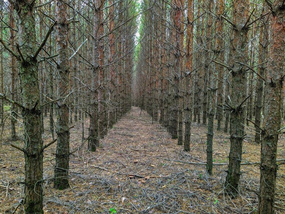 Фотография автора IRINA FILIPPOVA