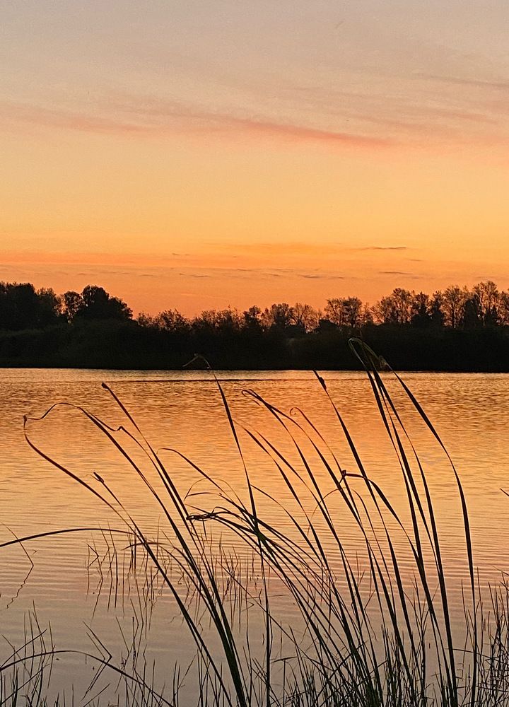 Photograph by Марина