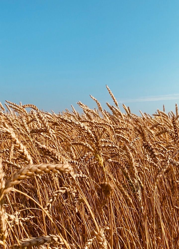 Photograph by Марина