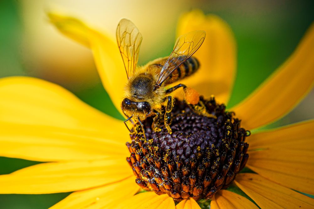 Photograph by Valdis Serzhans