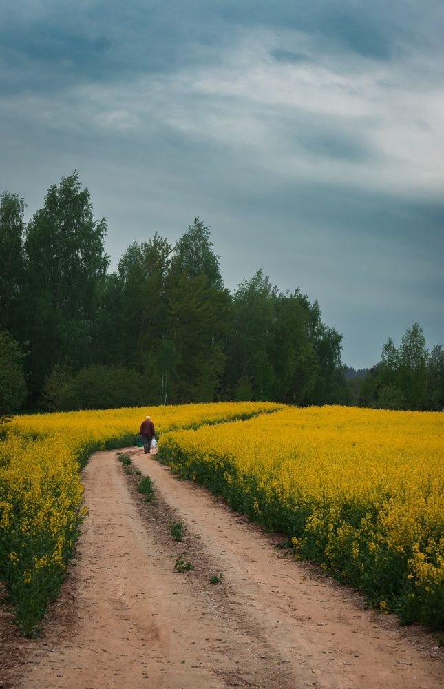 Фотография автора Геннадий Ломеко