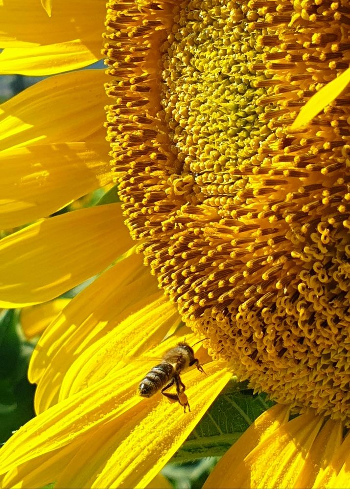 Photograph by Viktorova