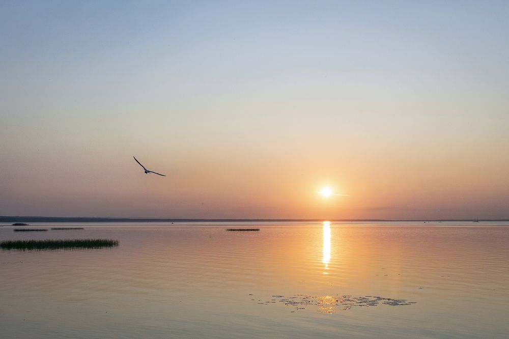 Photograph by Елена Морозова