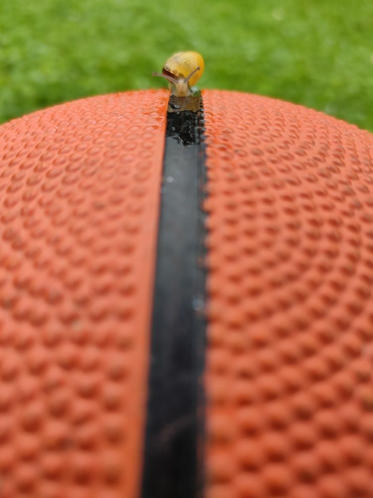 Photograph by Оксана Губанова