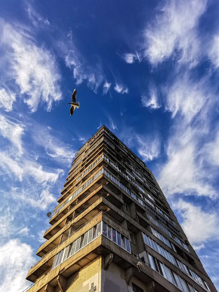 Photograph by Valensia Ludus