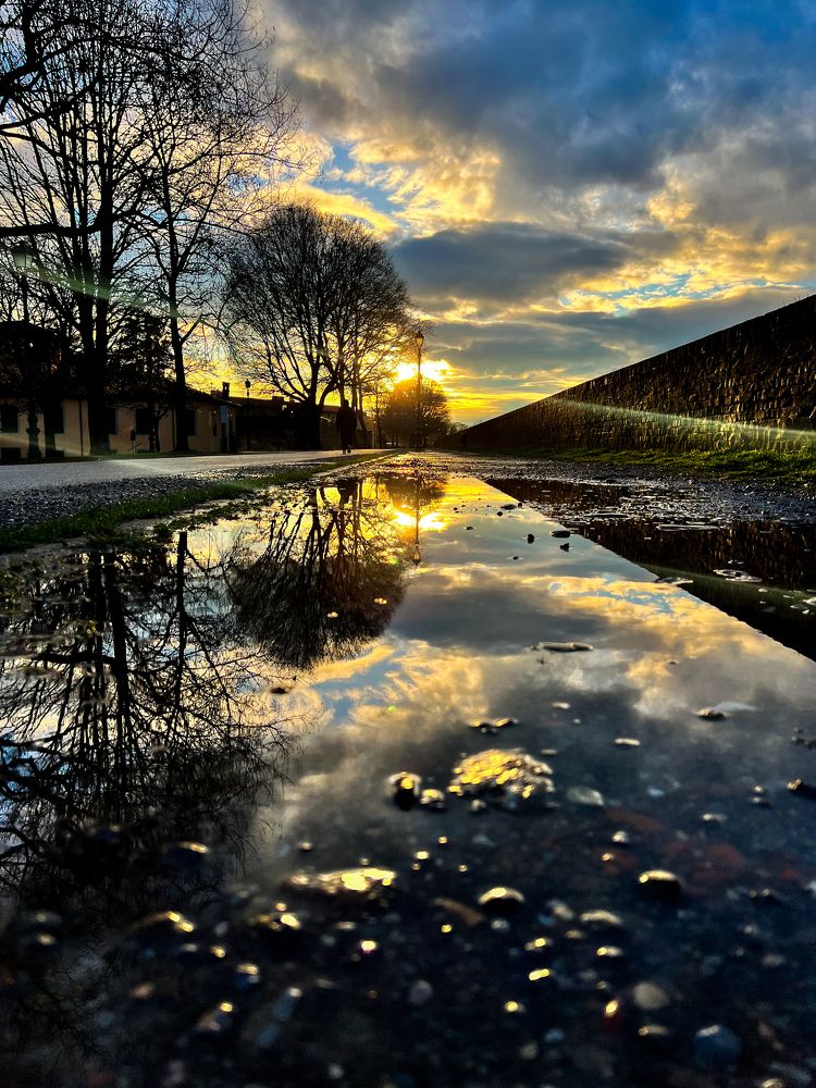 Reflection after storm