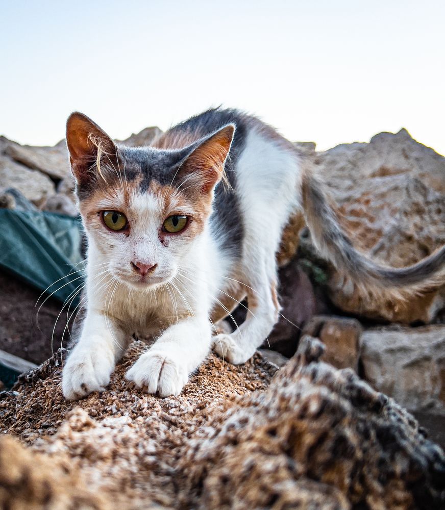 Photograph by Vlad Nanau