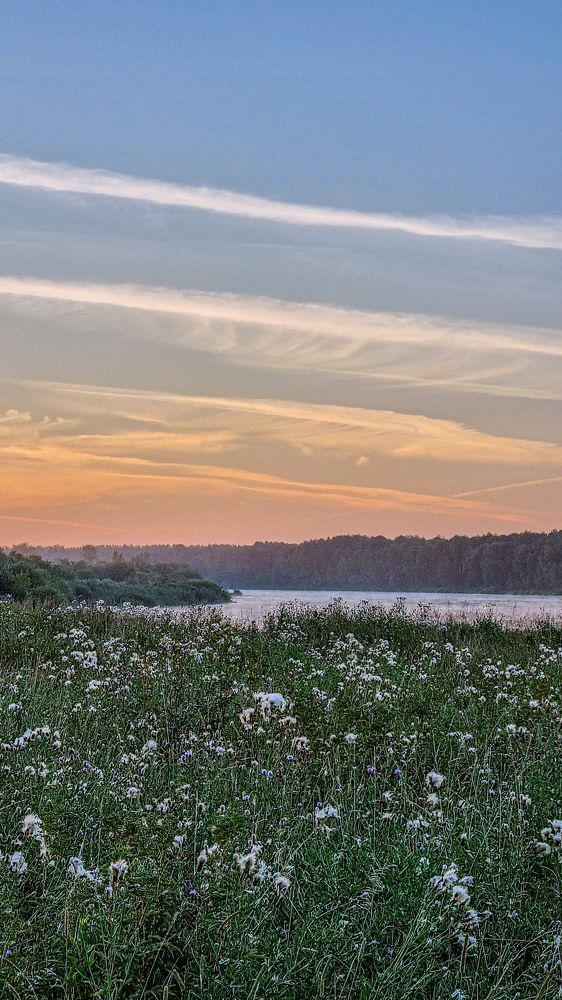 Photograph by Артем Большаков