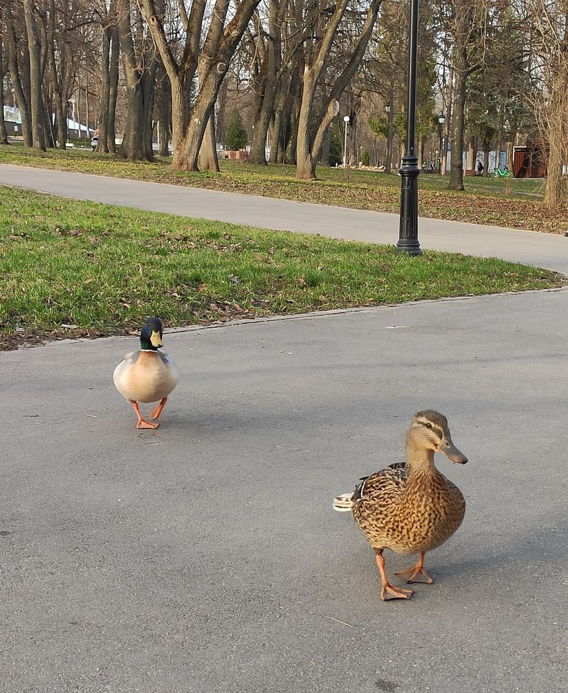 Photograph by Сидорова Ирина