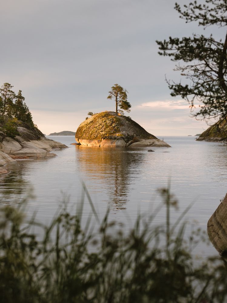 Photograph by Сергей Дивид