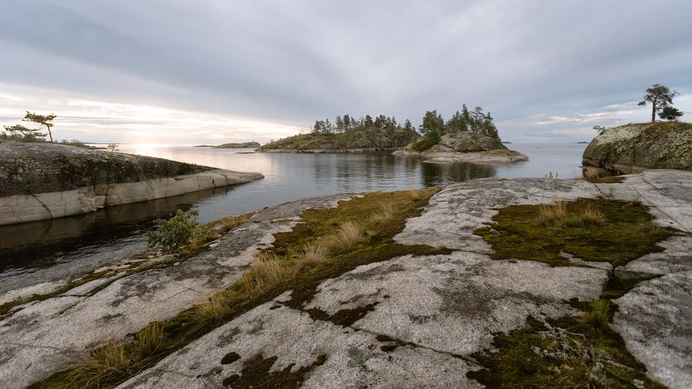 Photograph by Сергей Дивид