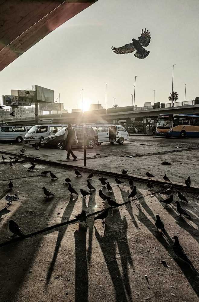 Photograph by Marwa Atef