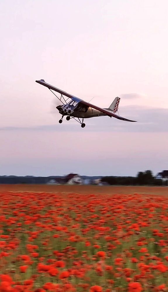 Photograph by Елизавета Лай