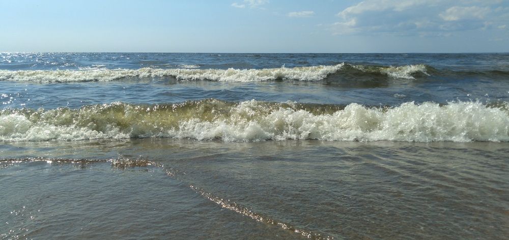 Photograph by Любовь Макарова