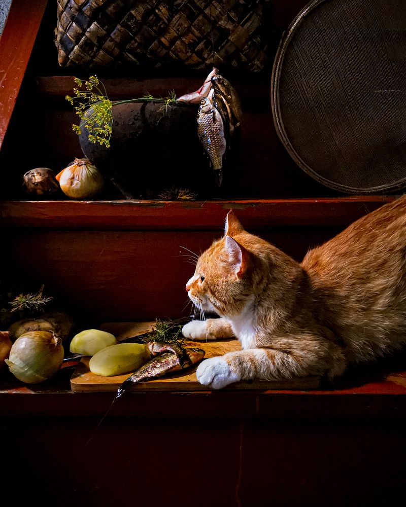 Photograph by Наталья Балабанова