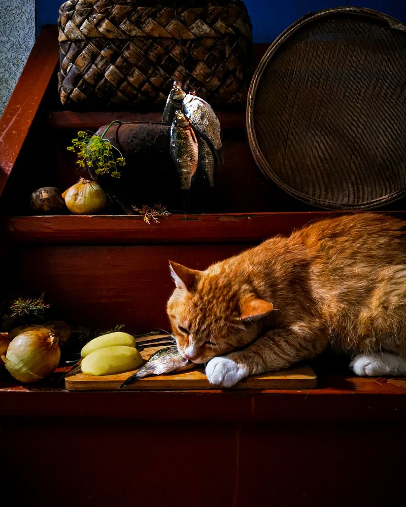 Photograph by Наталья Балабанова