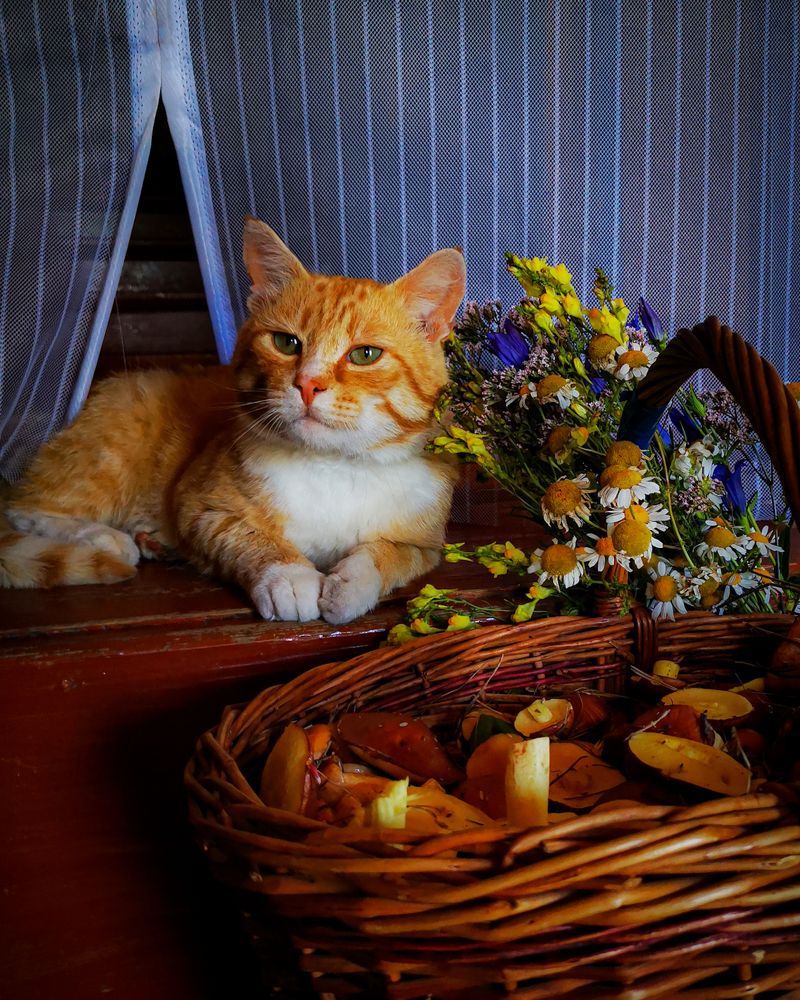 Photograph by Наталья Балабанова