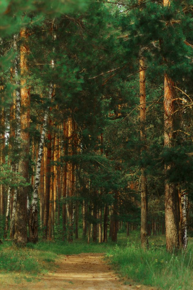 Photograph by Angelina Karelina