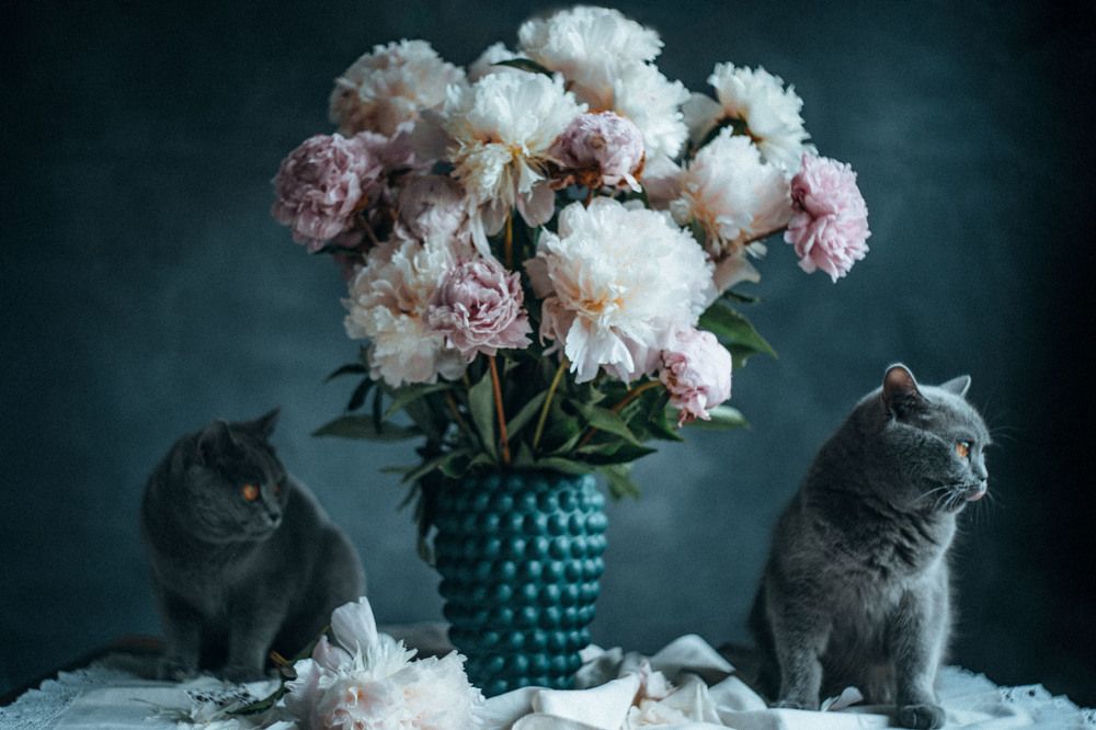 Photograph by Nelli Polle