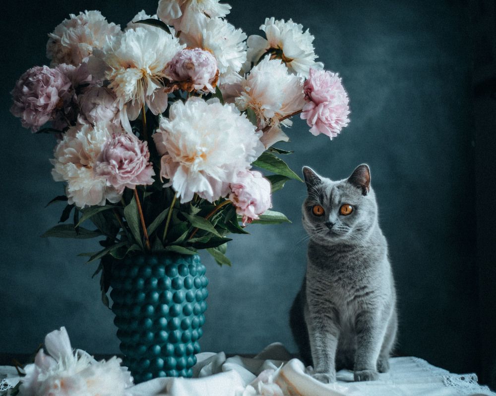 Photograph by Nelli Polle