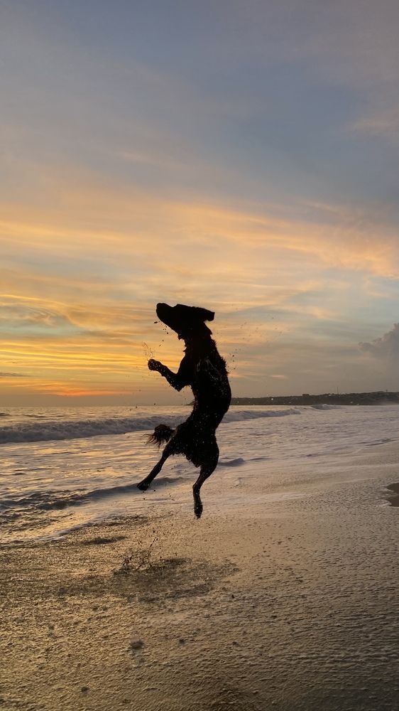 Photograph by Janine Rodríguez