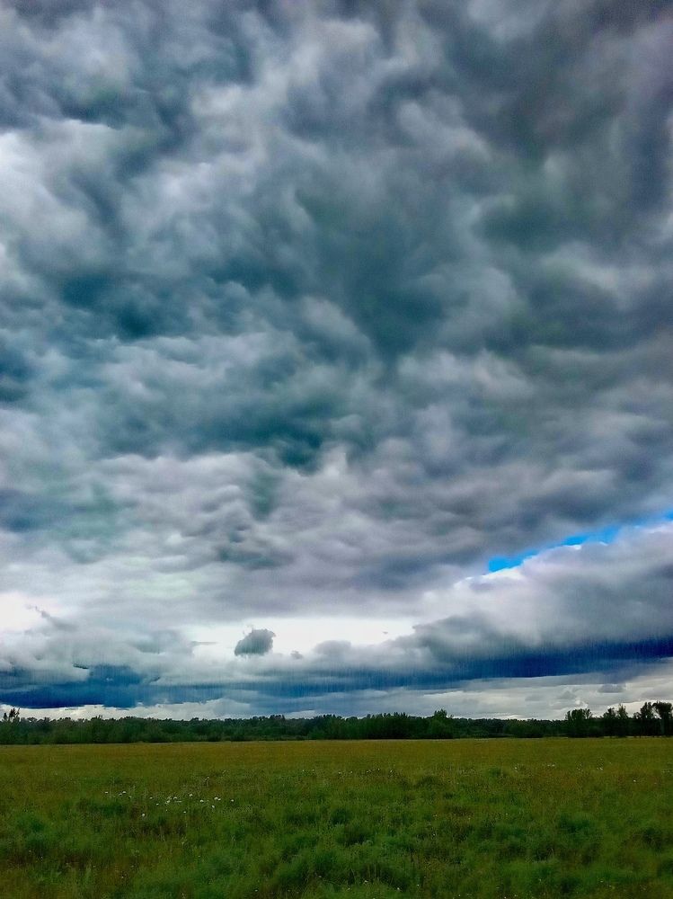 Photograph by Михаил Мехедов