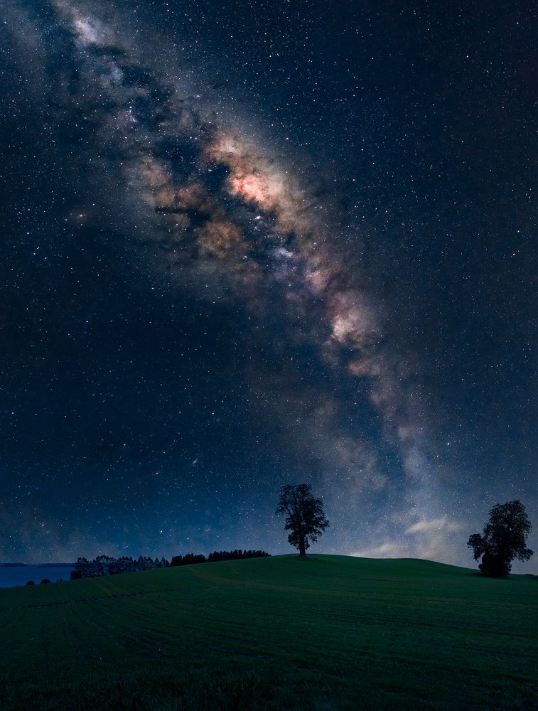 Photograph by Tomas Andonie