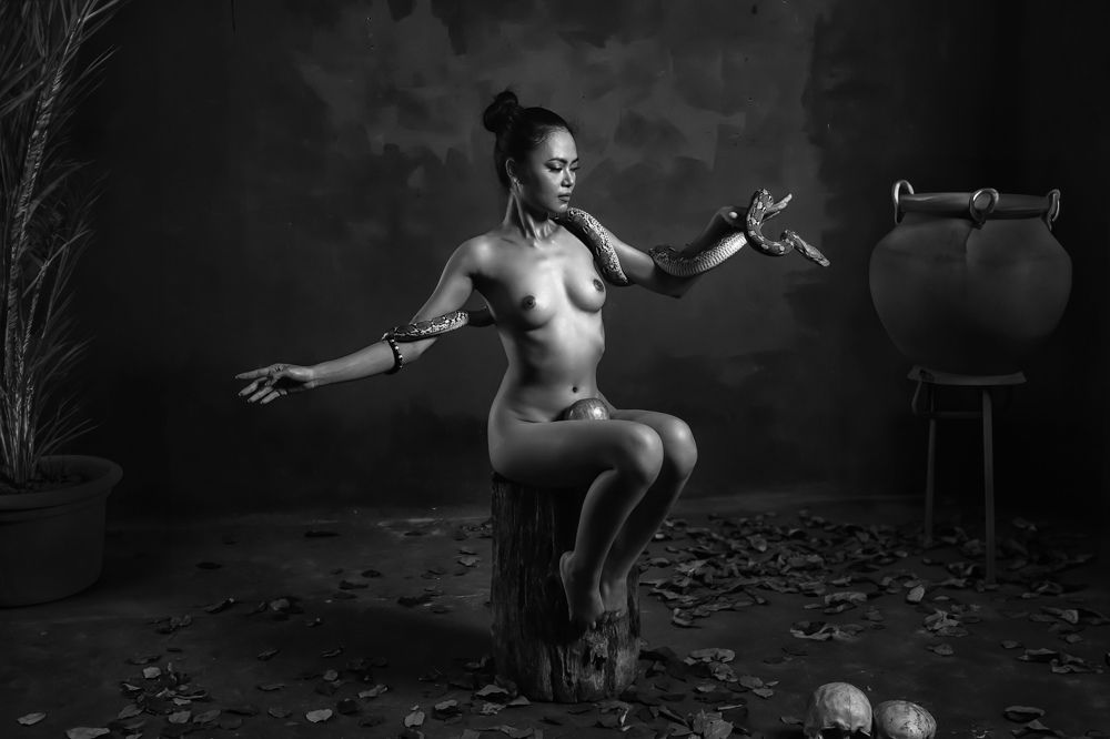 Photograph by ana walsh