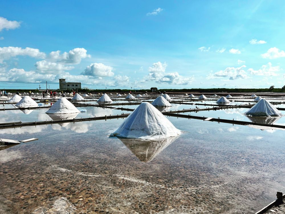 Photograph by Shayne