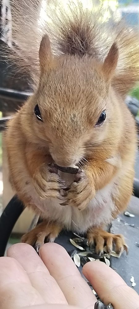 Photograph by Константин Сергеевич