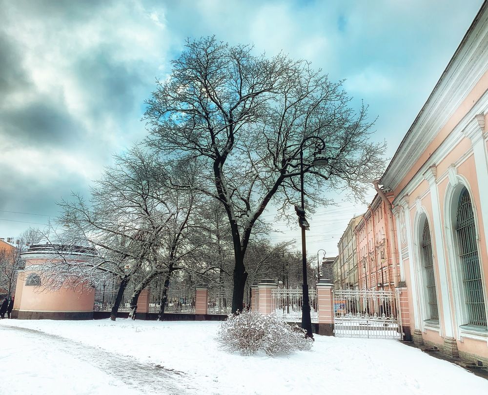 Photograph by Дайана