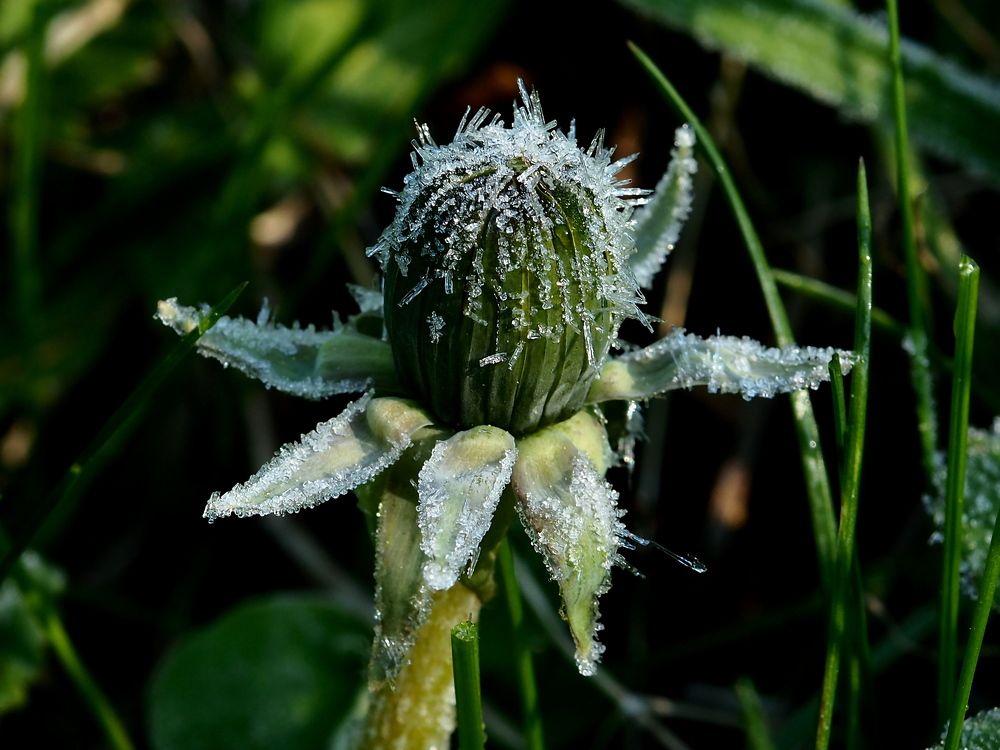 Photograph by Елена Харитонова