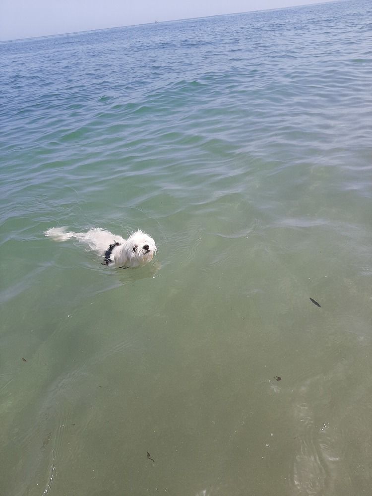 Photograph by Bucur Claudia