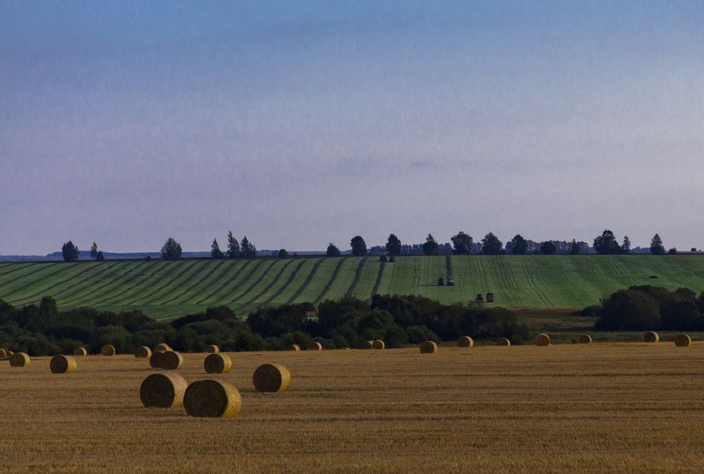 Фотография автора Вадим Лабитов