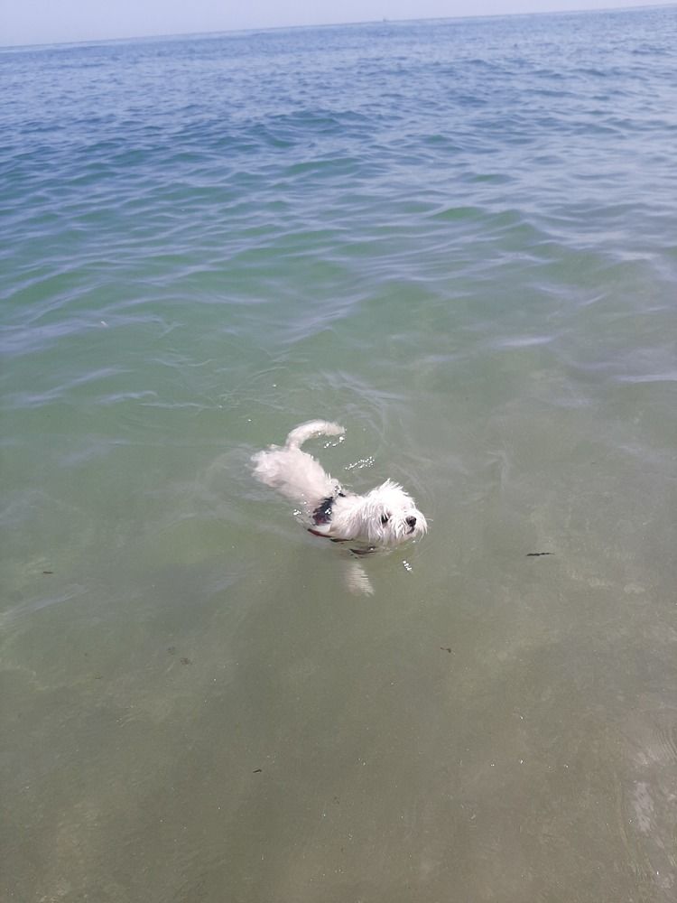 Photograph by Bucur Claudia