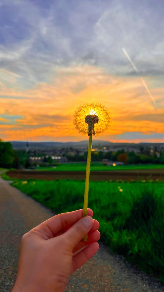 Фотография автора Bagheri rad Elaheh