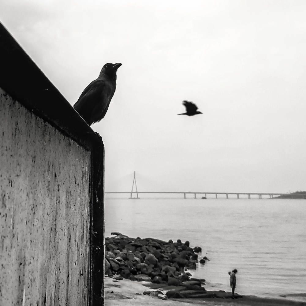 Photograph by Ashvin Singh