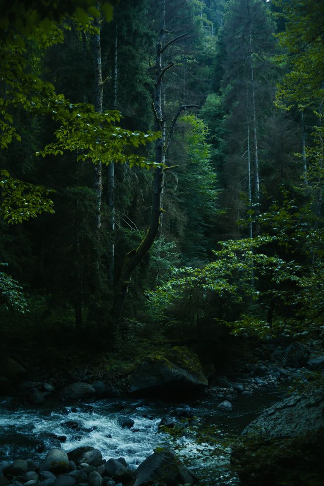 Photograph by Ника Варназова