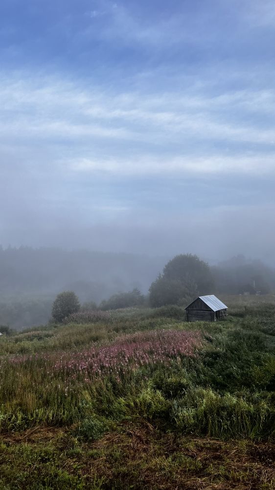 «Мистический туман».