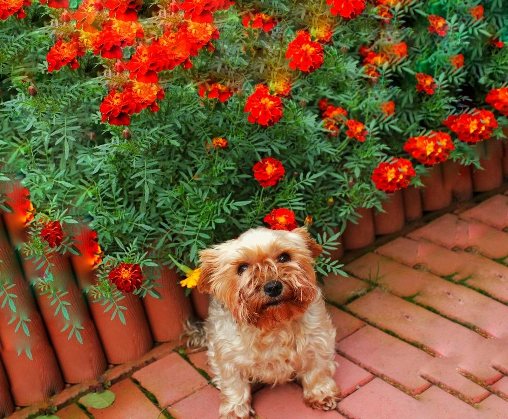 Photograph by Анастасия Липаткина