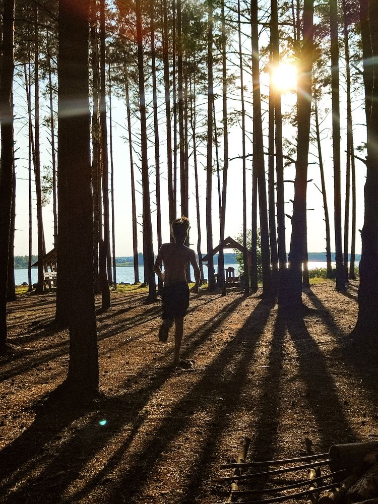 Всегда беги навстречу солнцу