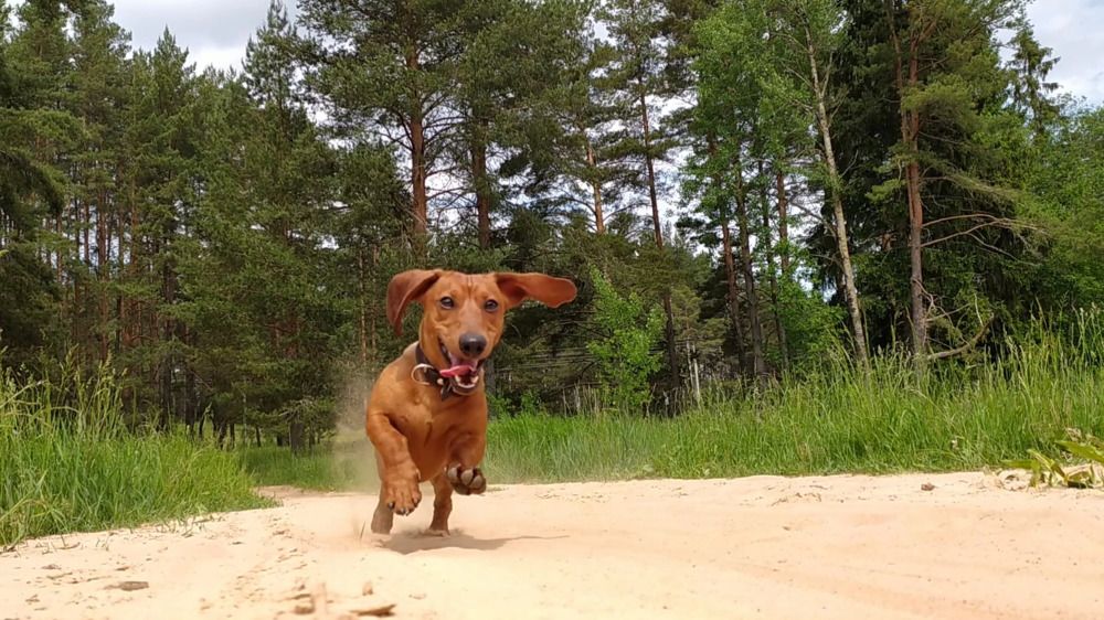 Фотография автора Ирина Линина