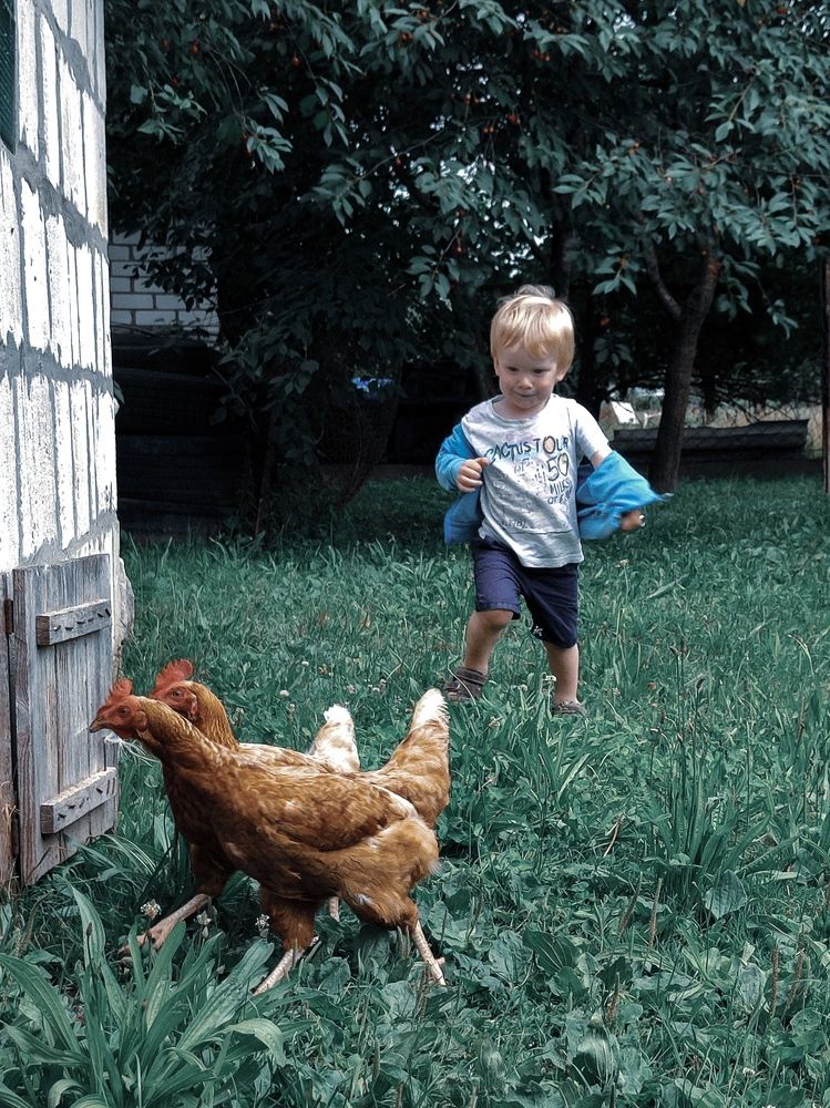 Нас не догонят