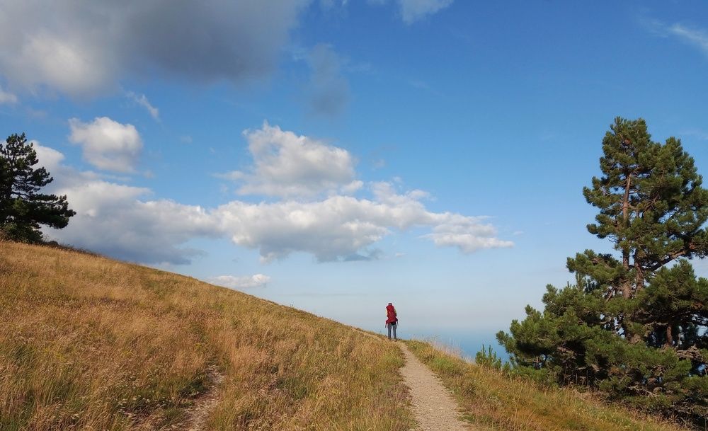 Photograph by Maiya Bulatova