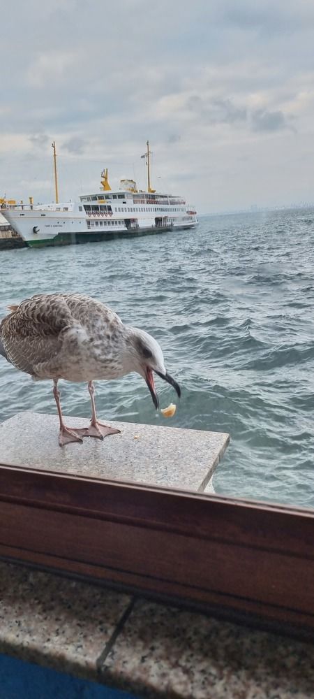 Photograph by Evgenii Askerov