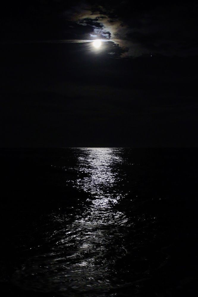 Photograph by Вячеслав Кровопусков