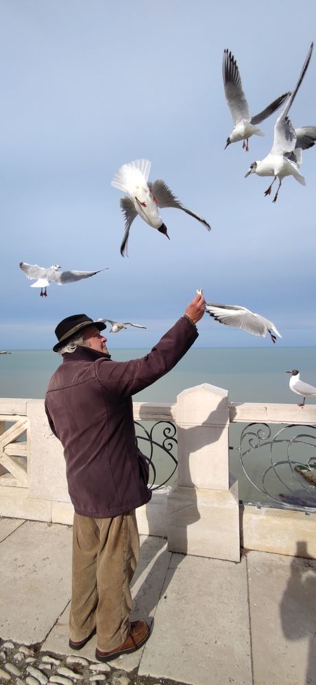 Photograph by fumarola pierdomenico